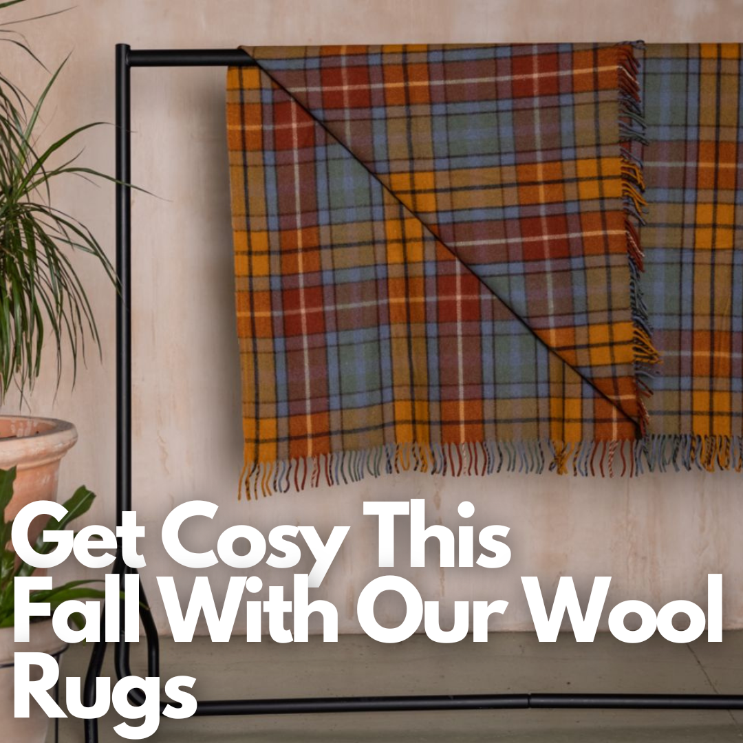 Get Cosy This Fall With Our Cosy Wool Blankets!