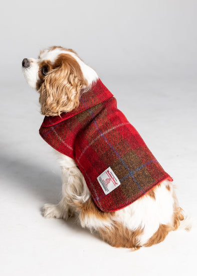 Dog Kilt Jackets - Harris Tweed & Tartan Coats | Scotland Kilt Co US
