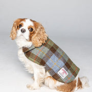 Harris Tweed Dog Coat - Green/Blue Macleod Check