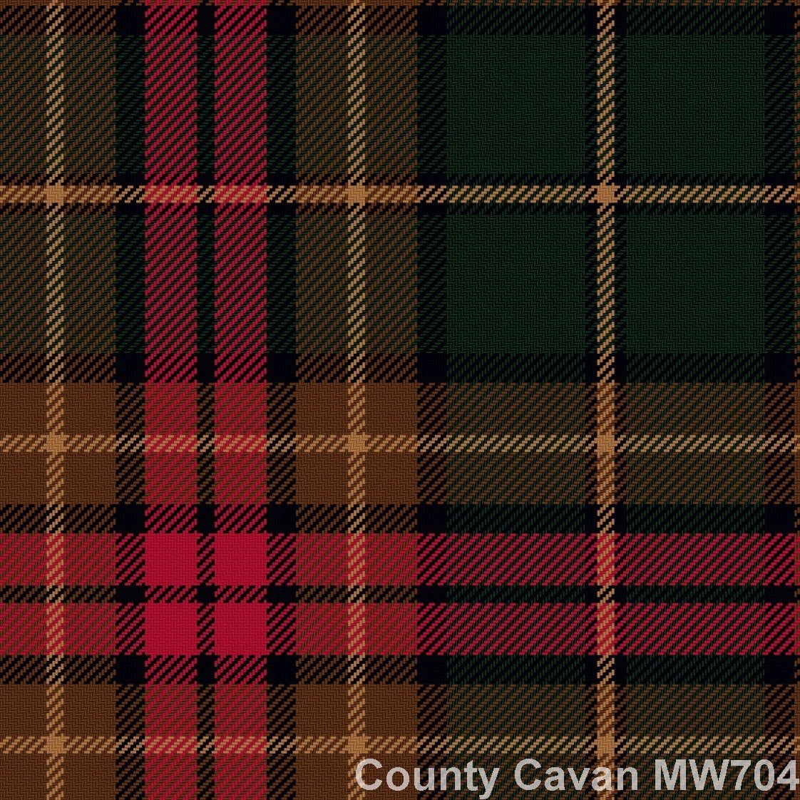 Cavan County