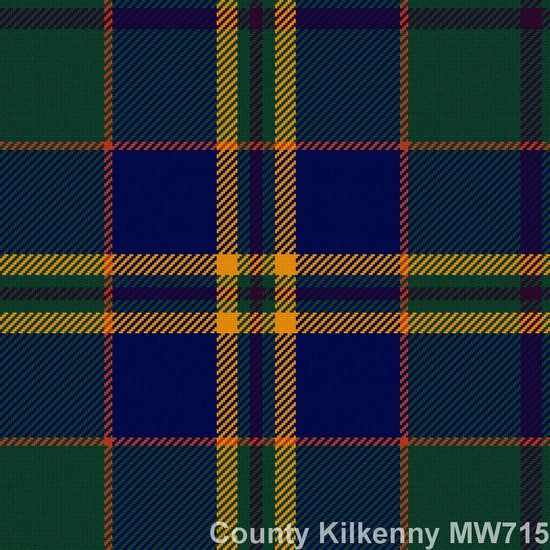 Kilkenny County