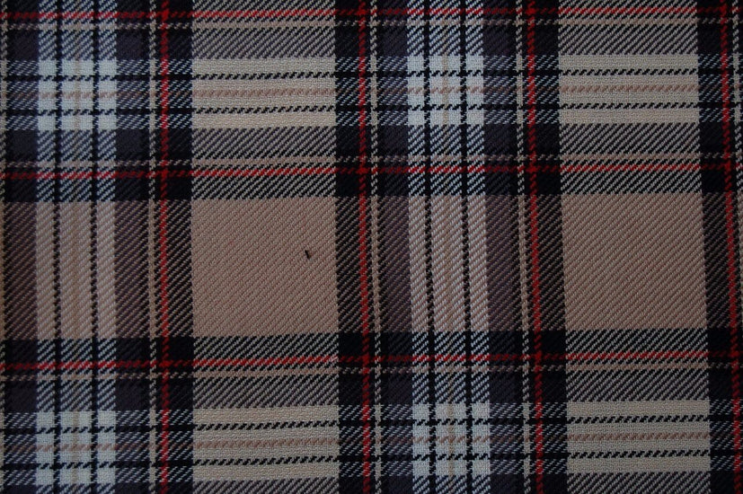 Stewart Camel Modern